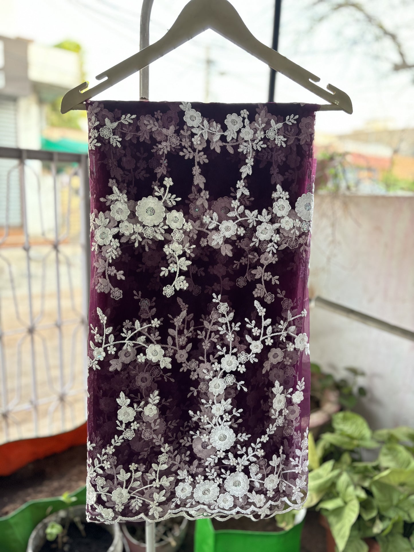 Grape Wine chikankari Saree