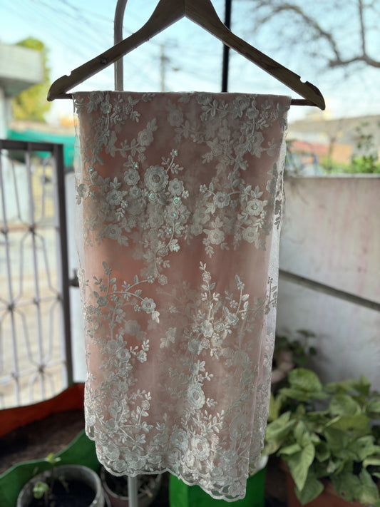 Baby Pink chikankari Saree